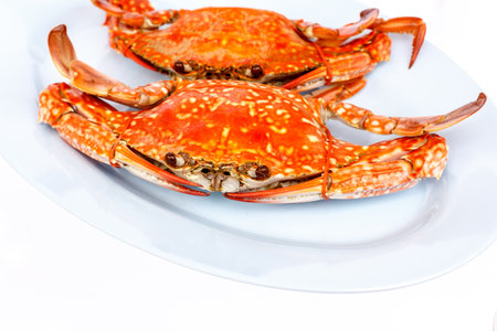 Steamed crab on white backgroundの写真素材