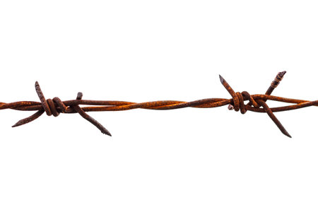 Rusted barbed wire isolated on white background