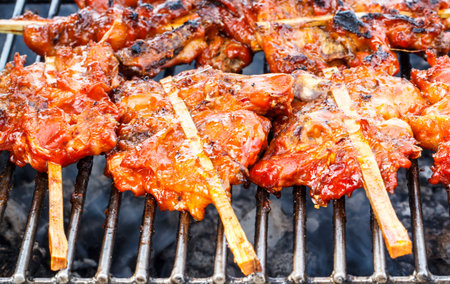 Grilled chicken skewers on a hot stove Thailand style.