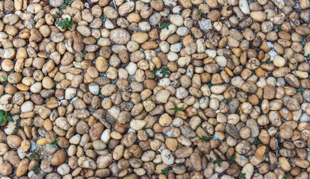 wall pattern of gravel stoneの写真素材