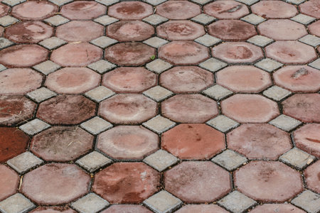 stone walkway in the park.の写真素材