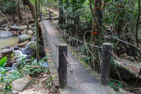 Pedestrian suspension bridge over river in rainforestの写真素材