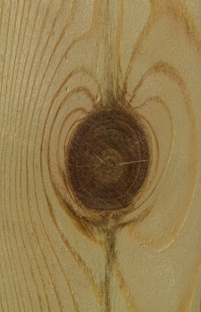 wood texture. background beautiful panelsの写真素材