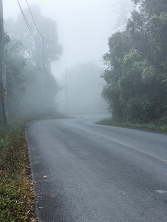 Rural road with fog in northern Thailand.の写真素材