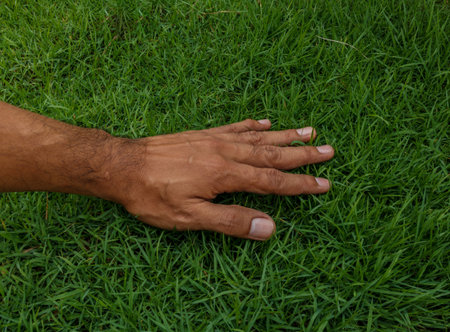 Hand above green fresh grass on a front yard.の写真素材
