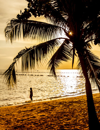 Pattaya sunset on the beach. The famous tourist attraction in Thailand.の写真素材