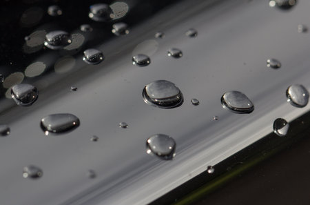 drops of water-repellent surface in black & whiteの写真素材