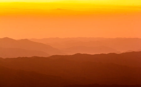 Forest Hill landscapes Dawn is very beautifulの写真素材