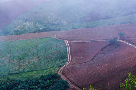 Mountain road at phu tubberk, Tourist Park, Phetchabun Attractionsの写真素材