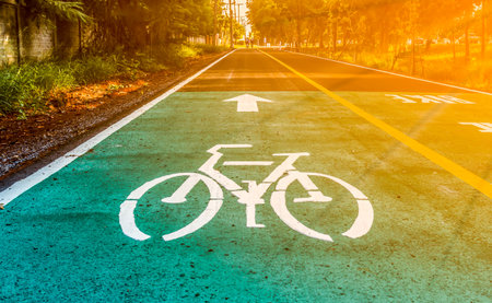 Dedicated bicycle lanes, designed to make cycling safer.
