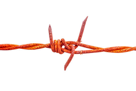 Barbed wires isolated on white backgroundの写真素材