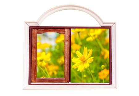 Wooden window with beautiful flowersの写真素材