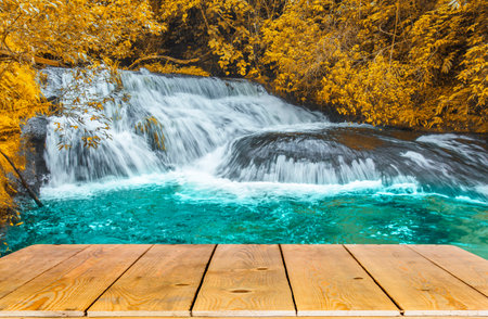 Seasons of leaves change color near the beautiful waterfall.の写真素材
