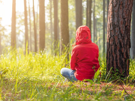 Red coat woman sitting under a pine tree in beautiful natureの写真素材