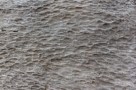 Natural wood pattern background picture as a backgroundの写真素材
