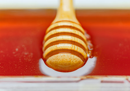 Natural fresh honey and dipper, no additives, ready to eatの写真素材