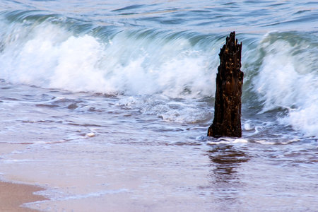 sea wave hit dead wood on the beach in Thaillandの写真素材