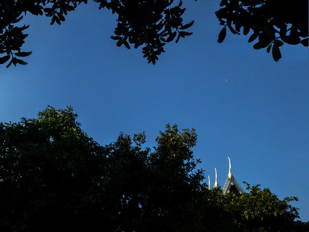 small part of white Temple roof behind tree bush with blue skyの写真素材