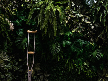 crutch on the green leaf wallの写真素材