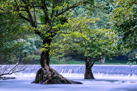 Wang Takrai waterfall located in Nakhon Nayok Thailand. Shot taken with long exposure Technic therefore smooth and fluffy water surfaceの写真素材