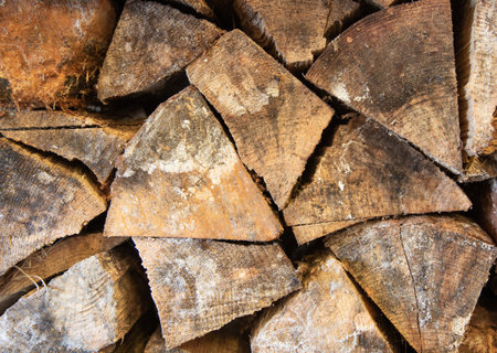 Stack of chopped firewood preparation for winter
