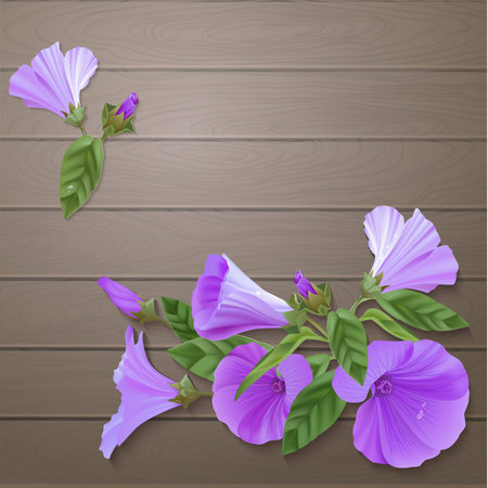 Violet flowers.のイラスト素材