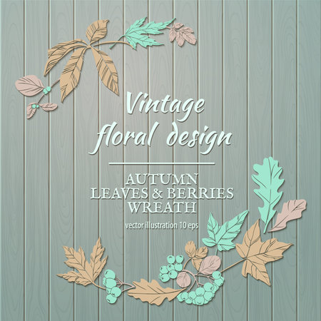 Floral plant botany elements.のイラスト素材