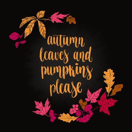 Lettering and decorative elementsのイラスト素材