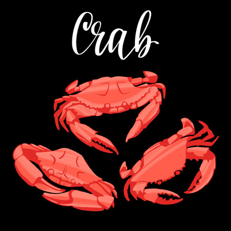 Seafood healthy nutrition product. Fresh tasty crabs.のイラスト素材