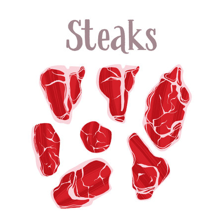 Different types of raw steaks. Protein healthy nutrition product.のイラスト素材