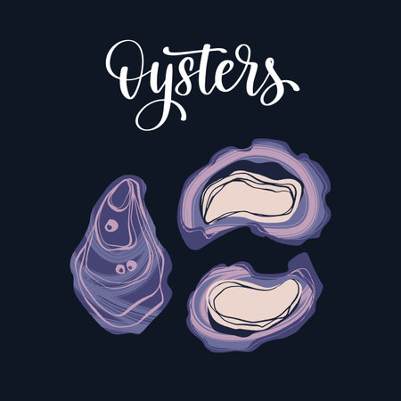 Seafood healthy nutrition product. Gourmet freshest oysters.のイラスト素材