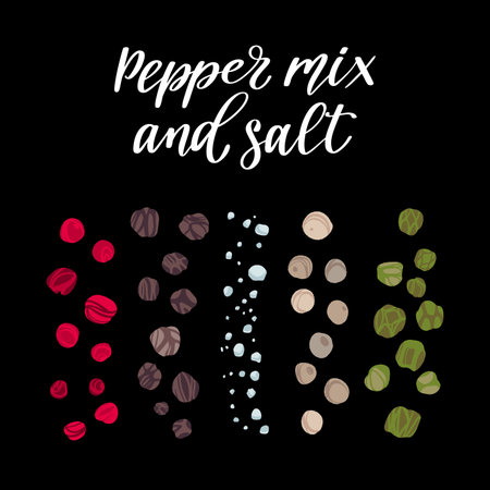 Spices for cooking. Set of black, green, white and red whole pepper and coarse sea salt.のイラスト素材
