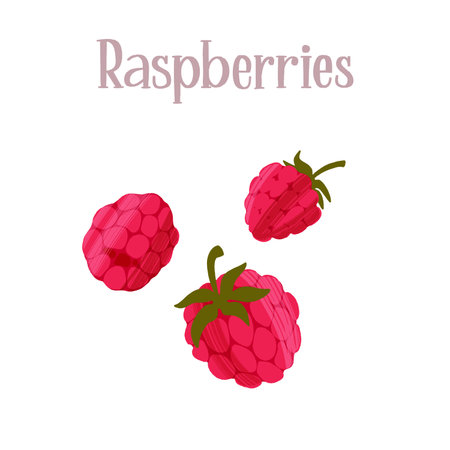 Delicious tasty fresh raspberries. Healthy nutrition product.のイラスト素材