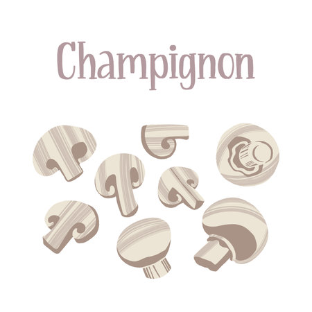 Fresh white Champignon mushrooms. Healthy nutrition product.のイラスト素材