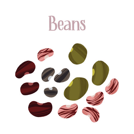 Different kinds of beans. Carbs for healthy nutrition.のイラスト素材