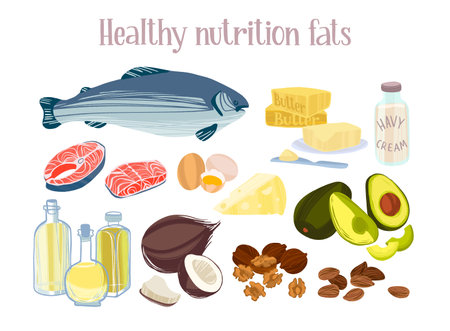 Healthy fats products. Diet food concept. Salmon, butter, vegetables oils, nuts,eggs, dairy products and avocado.のイラスト素材