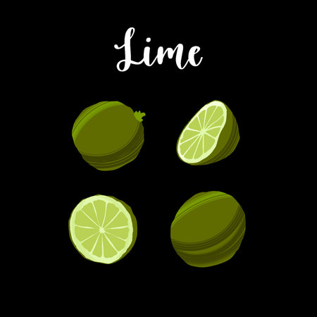 Delicious fresh lime whole and sliced. Healthy nutrition product.のイラスト素材