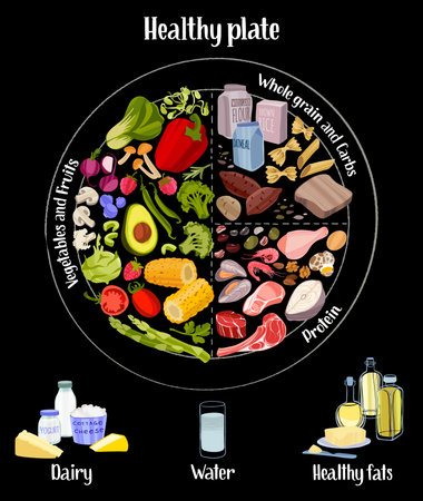 Rational diet infographics. Healthy eating plate concept.のイラスト素材