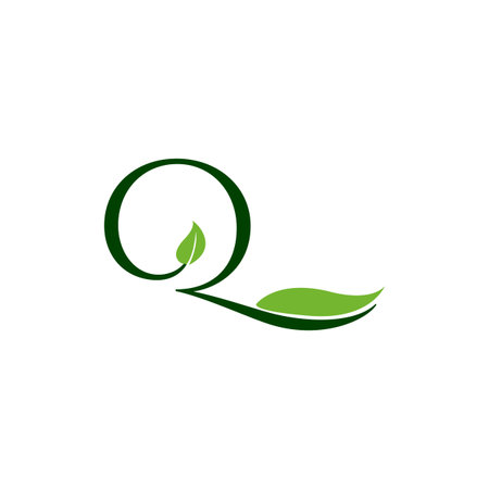 Luxury Tropical Nature Leaves letter Q icon. Simple Vector design concept icon icon letter Q with tropical leaves for luxuries business, hotel, wedding service and more business identity.のイラスト素材
