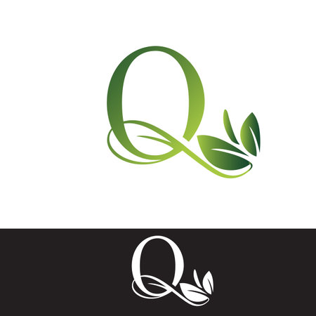 Luxury Tropical Nature Leaves letter Q icon. Simple Vector design concept icon icon letter Q with tropical leaves for luxuries business, hotel, wedding service and more business identity.のイラスト素材