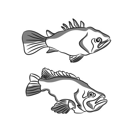 Hand drawn vector illustration of fish isolated on white background. Retro style.のイラスト素材