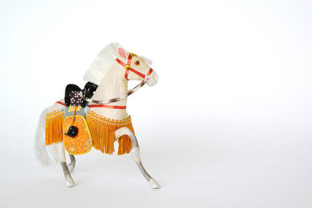 Elegant white horseの写真素材