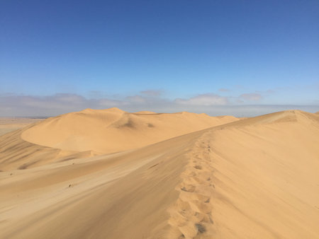 Desert at Namibiaの写真素材
