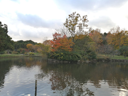 Landscape for autumn parkの写真素材