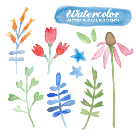 Set of watercolor hand drawn floral elements, isolated vetor flowers, herbs and leavesのイラスト素材