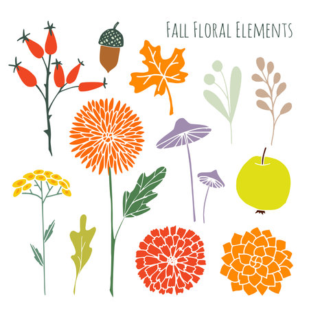 Set of hand drawn autumn fall floral graphic elements, isolated vector objectsのイラスト素材