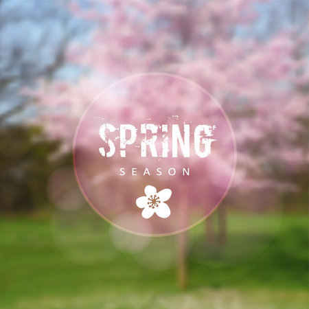 Spring background with blurred blossoming cherry trees and green graaa, illustrationのイラスト素材