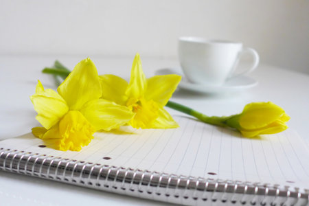Spring styled stock photo. Still life with daffodil flowers, Narcissus, note book and cup of coffee. Blurred background, image for blog or social media.の写真素材