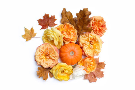 Autumn floral composition made of colorful maple, oak leaves, orange pumpkin and fading roses isolated on white background. Fall and Thanksgiving concept. Styled stock flat lay photography. Top view.の写真素材