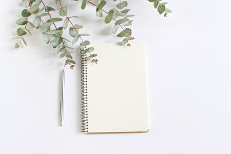 Styled stock photo. Feminine desktop mockup scene with green eucalyptus leaves, ballpoint pen and blank notebook isolated on white background. Empty space. Top view. Picture for blog.の写真素材